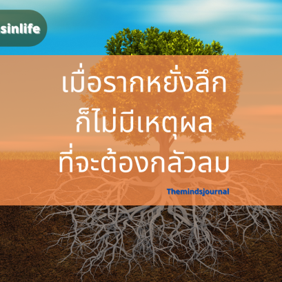 เมื่อรากหยั่งลึกก็ไม่มีเหตุผลที่จะต้องกลัวลม