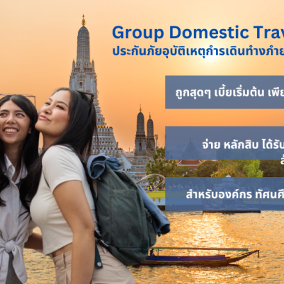 AIG_Travel_Domestic