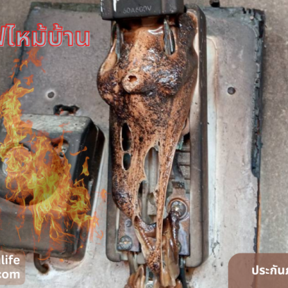 เก้าอี้สีเขียว(copy)(copy)(copy)(copy)(copy)(copy)(copy)