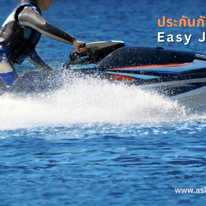 ประกันภัยอุบัติเหตุส่วนบุคคล Easy Accident(copy)