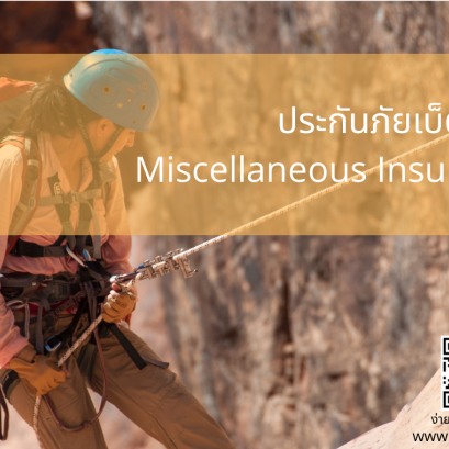 ประกันภัยเบ็ตเตล็ดอื่นๆ