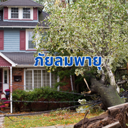 ภัยลมพายุ