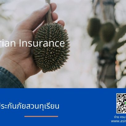 ประกันภัยสวนทุเรียน Durian Insurance