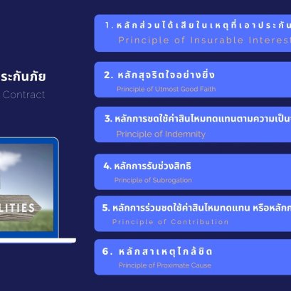 หลักของสัญญาประกันภัย (Principle of Insurer Contract)