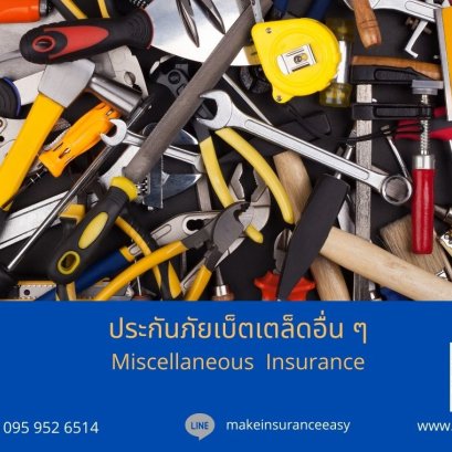 ประกันภัยเบ็ดเตล็ดอื่น ๆ Miscellaneous Insurance
