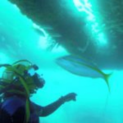 Travel Insurance -Single Trip