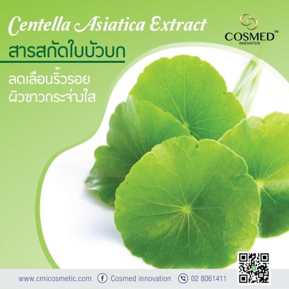 Centella Asiatica ใบบัวบก มีประโยชน์อย่างไรต่อผิว?