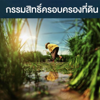 สิทธิ์การครอบครองที่ดิน กรรมสิทธิ์ที่ดินและการครอบครอง