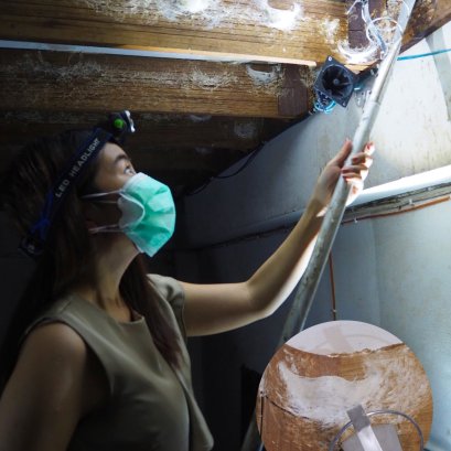 PAUS Birdnest ใช้วิธีเก็บรังนกแบบไหน??