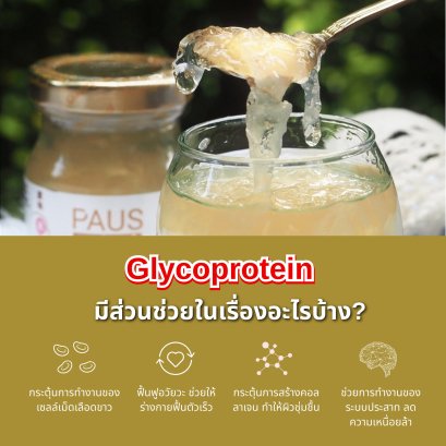 ไกลโคโปรตีน หัวใจหลักของรังนก