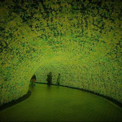 หลุมพรางของเป้าหมาย