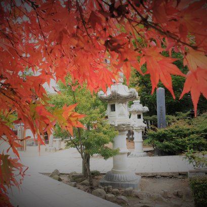 หลุมพรางของคำว่า "อยู่กับปัจจุบัน" 