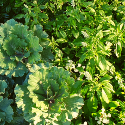 กรอบความคิดเราช่างแตกต่างกัน