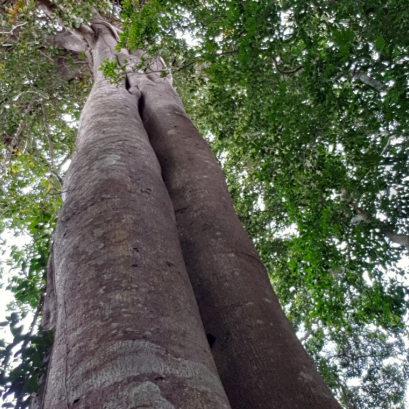 ความจริงที่ซ่อนอยู่:ทำไมคนไม่กล้าพูดในที่ประชุม