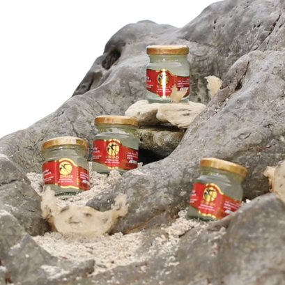 รังนก "ทองคำขาวแห่งท้องทะเล"