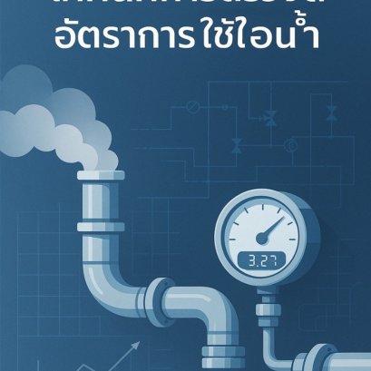 เทคนิคการตรวจวัดอัตราการใช้ไอน้ำ (Flow Measurement Techniques for Steam)