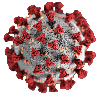 โควิด-19 คืออะไร?