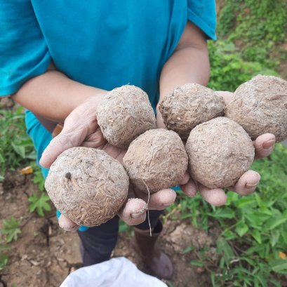 EM Ball to improve wastewater