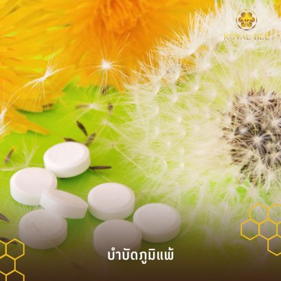 บำบัด ภูมิแพ้ ด้วย นมผึ้ง (Royal Jelly)