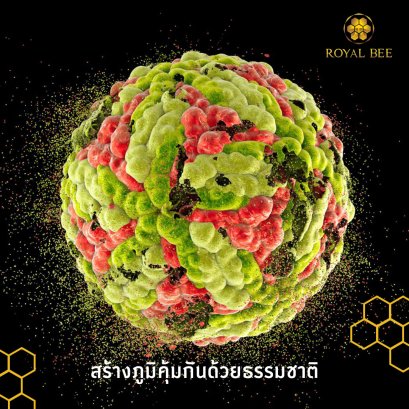 “ภูมิคุ้มกันดีอะไรก็ดี” รู้จักปาฏิหาริย์จากธรรมชาติ เสริมระบบภูมิคุ้มกันระดับดีเยี่ยม