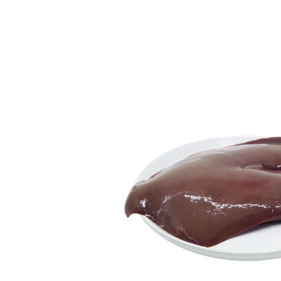 Liver