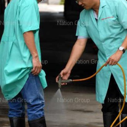 ภาพบรรยากาศเกี่ยวกับมาตรการป้องกันไข้หวัด 2009 ในฟาร์มสุกร