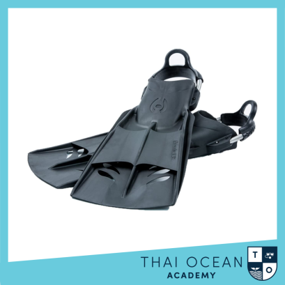 Hollis F-2 Fin