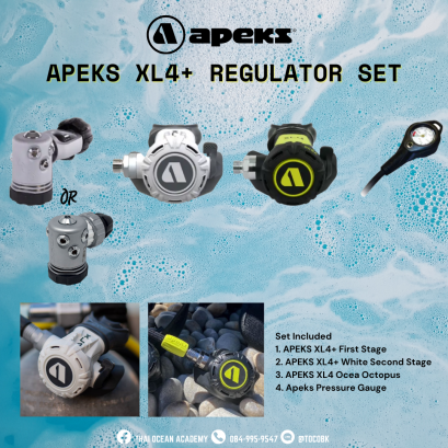 Apeks XL4+ Regulator Set