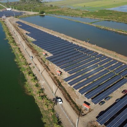 PPA Investor : บริษัท บีกริมม์ พาวเวอร์ จำกัด (มหาชน)