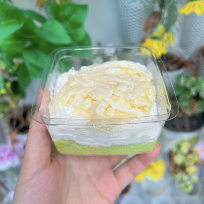Young coconut pandan cheesecake box
