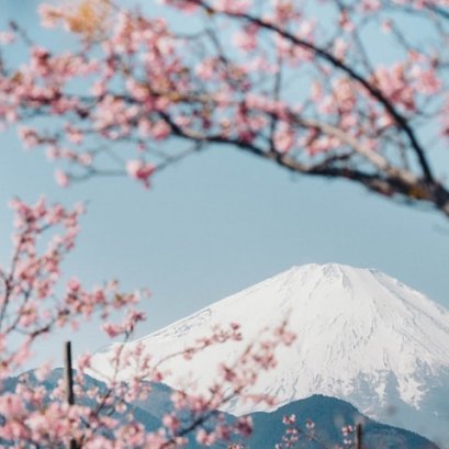 ญี่ปุ่น