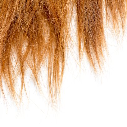 ดูผิวเผิน เหมือนดั่งไม้กวาด T-T