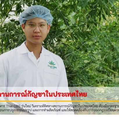ผู้บริหาร Thai CBG รุ่นใหม่ วิเคราะห์ทิศทางสถานการณ์กัญชาในประเทศไทย