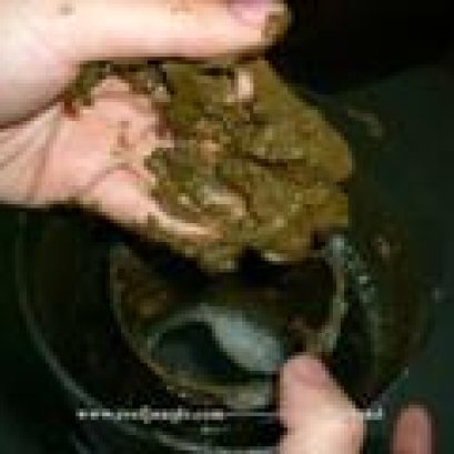 ระบบกรองพื้นฐาน สำหรับ ตู้ทะเล