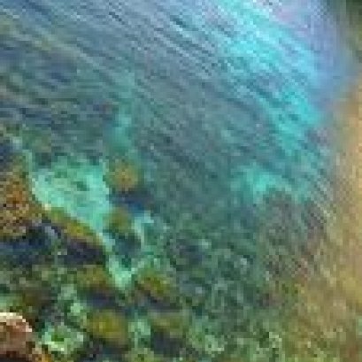 คุณภาพน้ำและมาตรวัดต่างๆ ในระบบตู้ทะเล Reef Aquarium Water Parameters