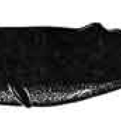 เชื่อหรือไม่?!! ปลาวาฬหัวทุย สามารถช่วยดับโลกร้อน