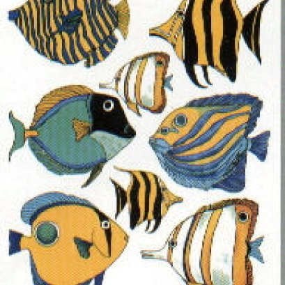 คิดก่อนซื้อ!!! ปลาทะเลสวยงามซักตัว มาใส่เพิ่มใน ตู้ทะเล