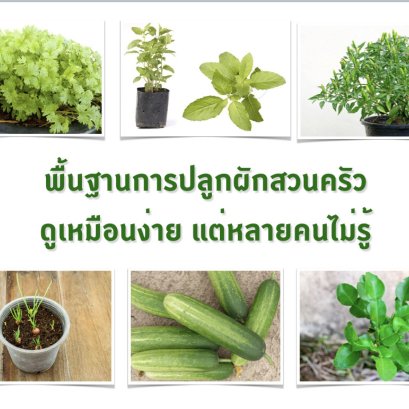 เคล็ดลับการปลูกให้ได้ผลให้เมล็ดงอกงาม