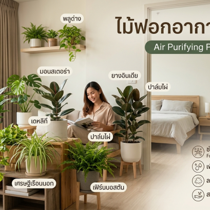 ต้นไม้ฟอกอากาศ
