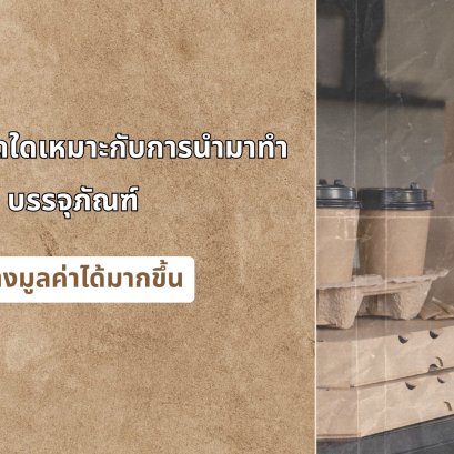 กระดาษชนิดใดเหมาะกับการนำมาทำบรรจุภัณฑ์ สร้างมูลค่าได้มากขึ้น