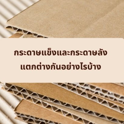 กระดาษแข็ง