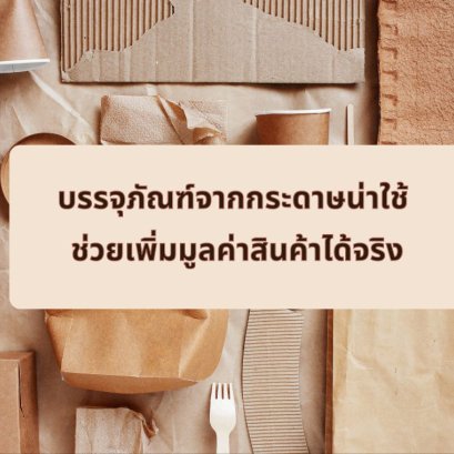 บรรจุภัณฑ์กระดาษ กระป๋องกระดาษ