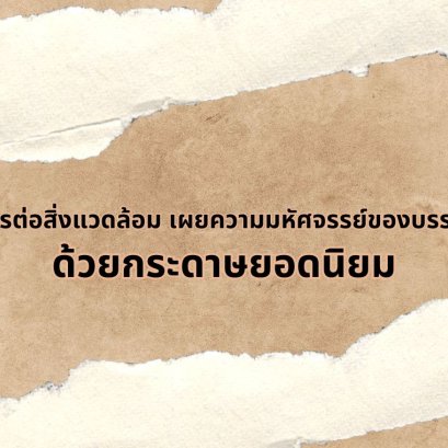 เป็นมิตรต่อสิ่งแวดล้อม เผยความมหัศจรรย์ของบรรจุภัณฑ์ ด้วยกระดาษยอดนิยม
