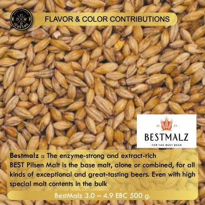 มอลต์ทำเบียร์ BEST Pilsen Malt (500 g.)