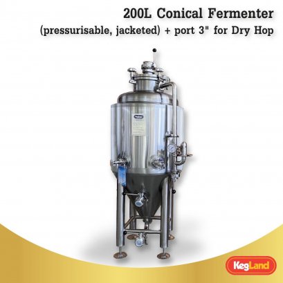 200L Conical Fermenter + port 3" for Dry Hop