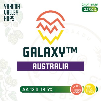 ฮอปทำเบียร์ Galaxy