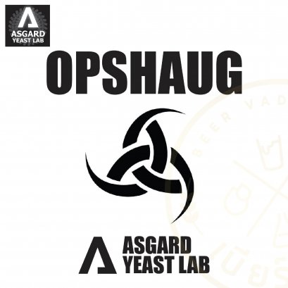 Opshaug Kveik #43 (Asgard Yeast Lab)