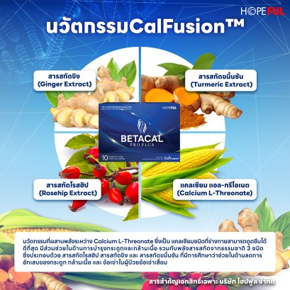  นวัตกรรม CalFusion ใน เบค้าแคล โปร พลัส ออกใหม่ล่าสุดในปี 2568 
