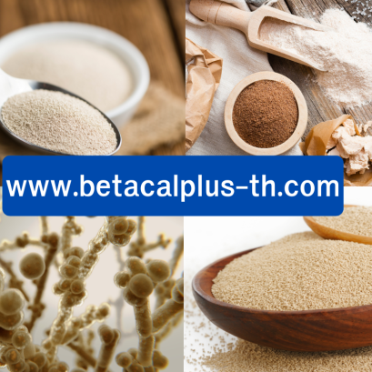 ยีสต์ เบต้ากลูแคน คืออะไรและมีประโยชน์อย่างไร?