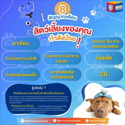 8 สัญญาณเตือน สัตว์เลี้ยงของคุณกำลังป่วย !